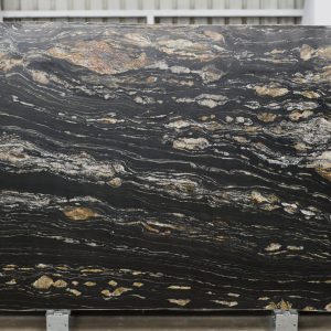 Cambrian Black