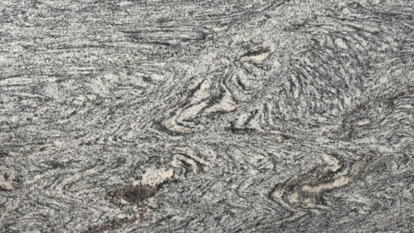 Alaskan Grey