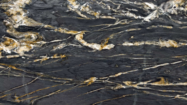 Cambrian Black