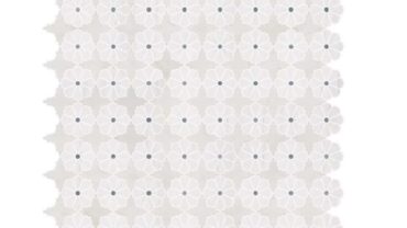 Daisy Marble Mozarte