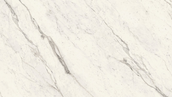 Elegant White