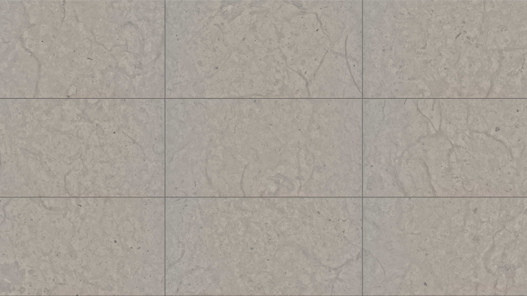 Gris Fossil