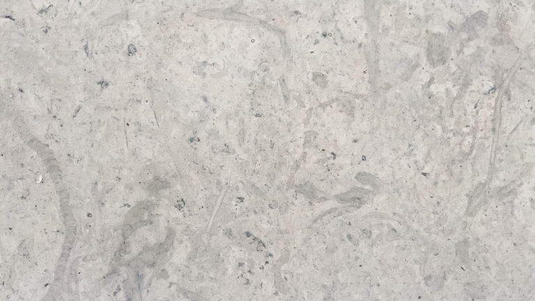 Gris Fossil