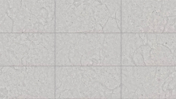 Gris Fossil