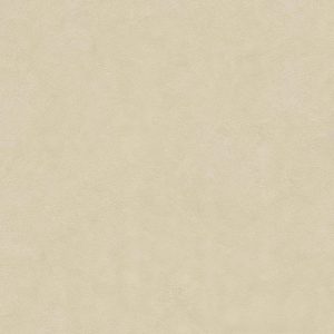 Infinity ARKEON Plaster Bone