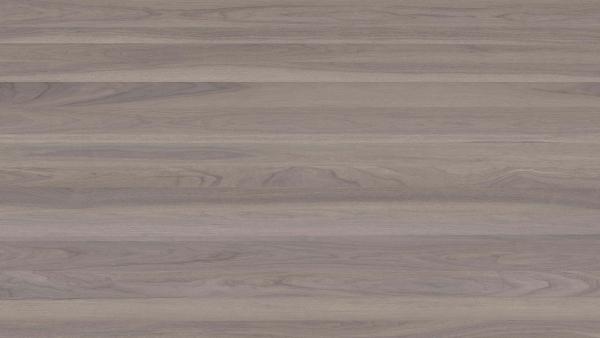 Infinity Skov