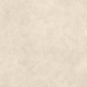 Infinity ARKEON Fossil