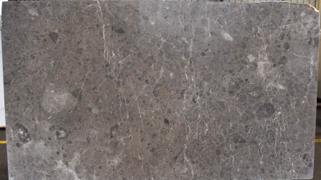 Mangrove brown marble slab with white veining, batch 989-3M