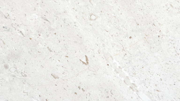 Panna Fossil