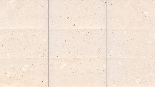 Panna Fossil