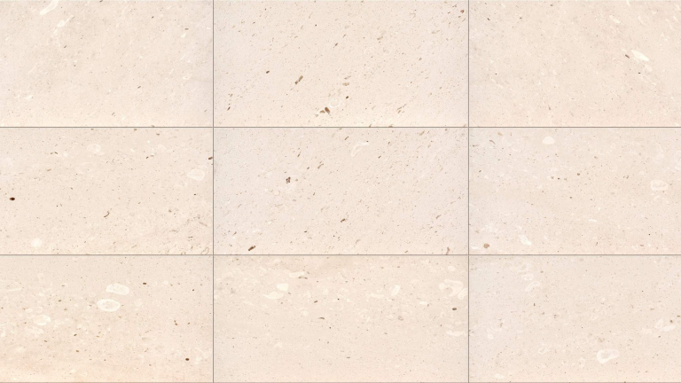 Panna Fossil