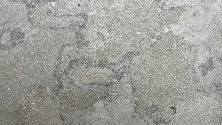 Wisconsin Grey