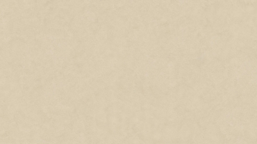 Infinity ARKEON Plaster Bone