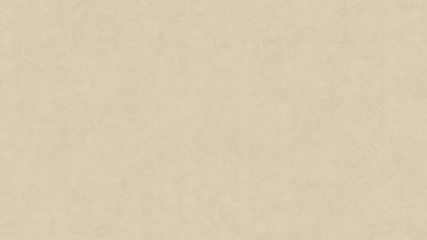 Infinity ARKEON Plaster Bone