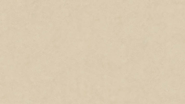 Infinity ARKEON Plaster Bone