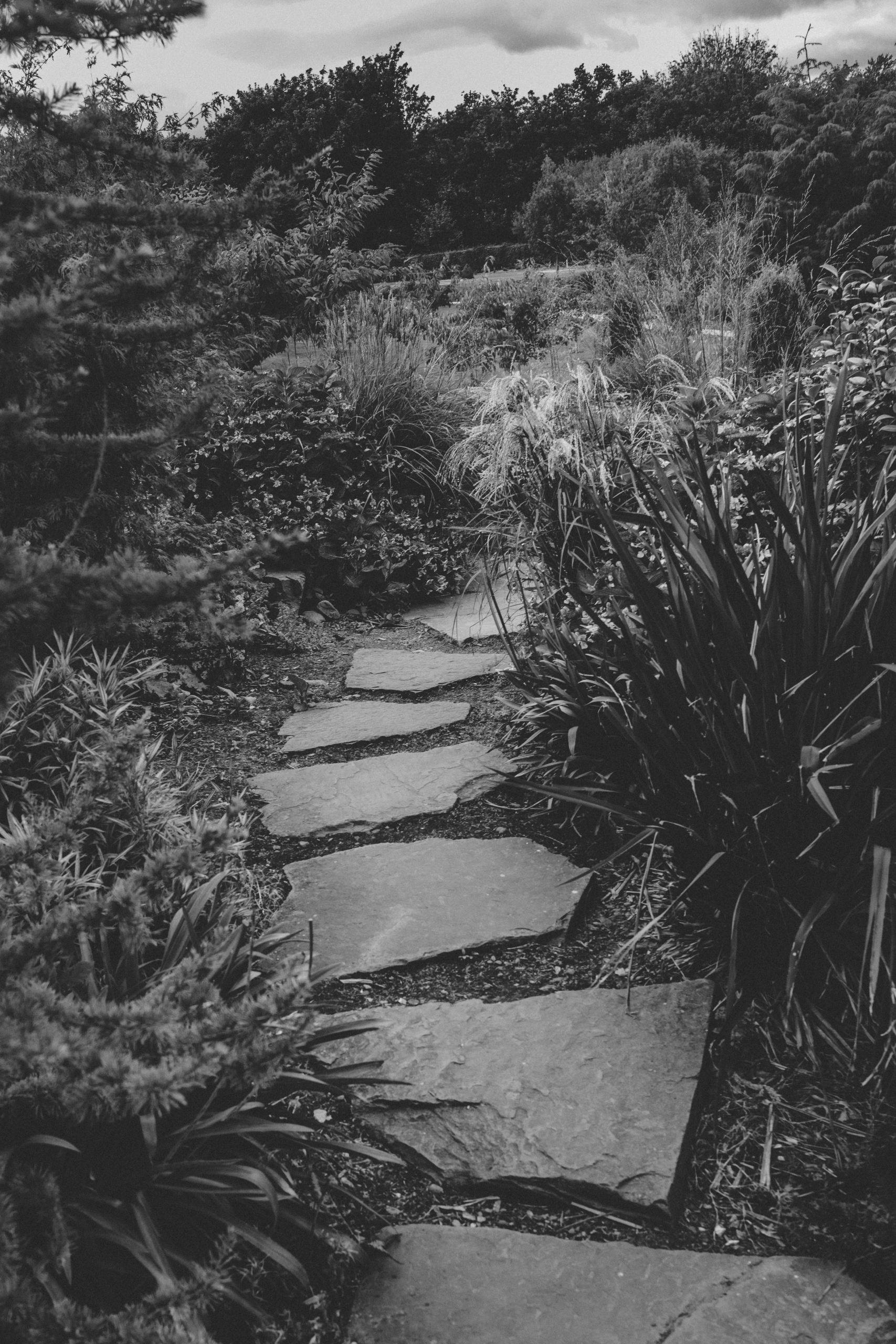 Slate stepping stones through a garden